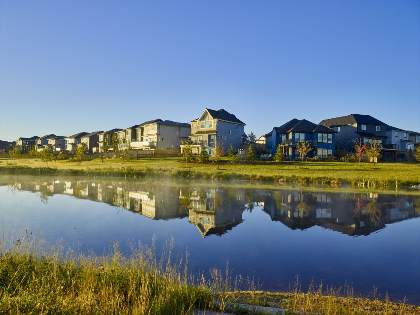 Catherine Manigo, Associate / REALTOR® MaxWell Challenge Realty